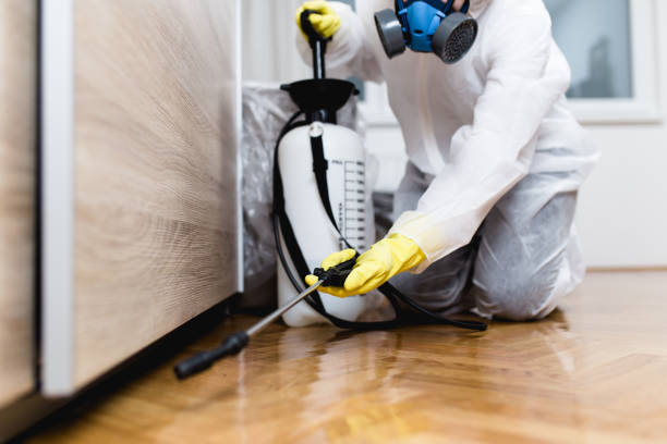 Best Cockroach Control Services  in Springdale, MD