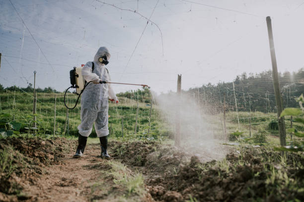 Best Pest Prevention Services  in Springdale, MD