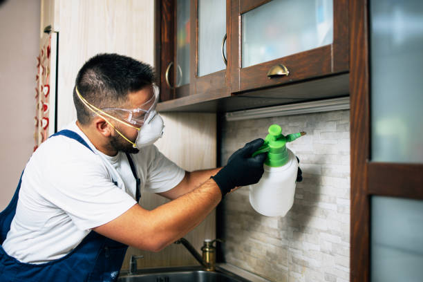 Pest Control Cost in Springdale, MD
