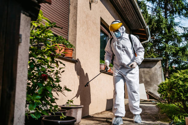 Best Emergency Pest Control  in Springdale, MD