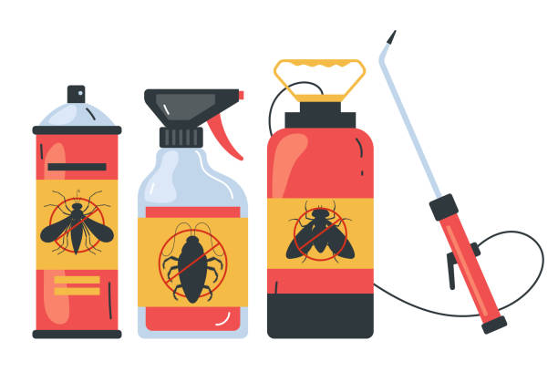 Best Affordable Pest Control Services  in Springdale, MD