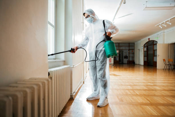 Best Exterminator Services  in Springdale, MD